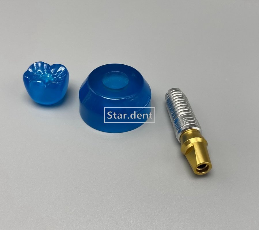Dental Implant Teeth Model Detachable Abutment Crown Teaching Study Models