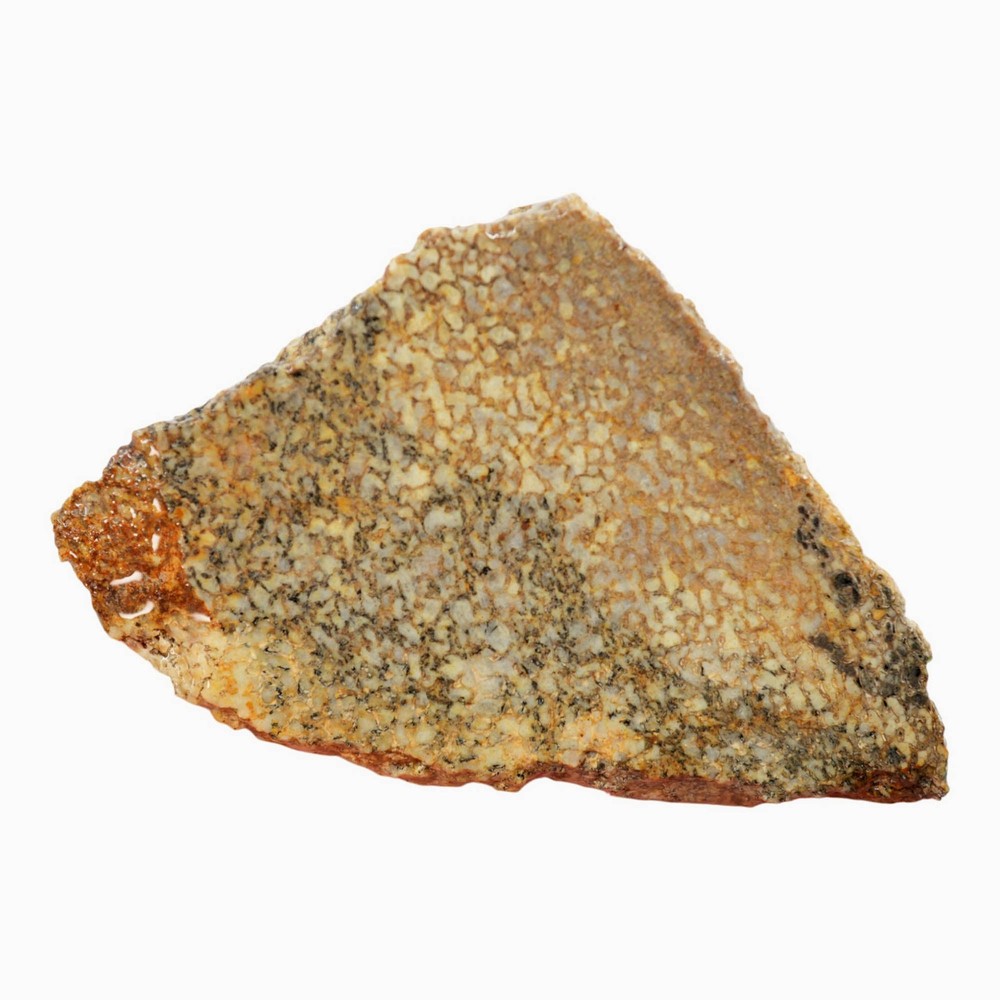 Gem Dinosaur Bone Slab - Well-Defined Cell Pattern