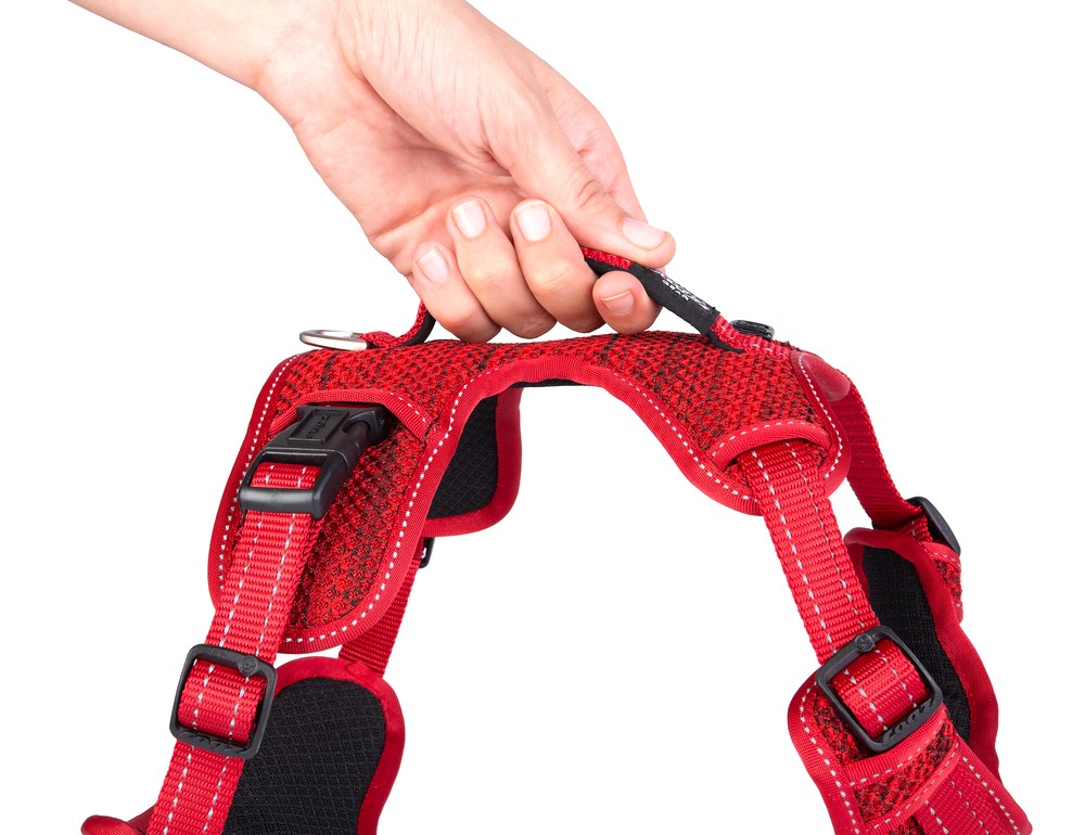 Explore Harness
