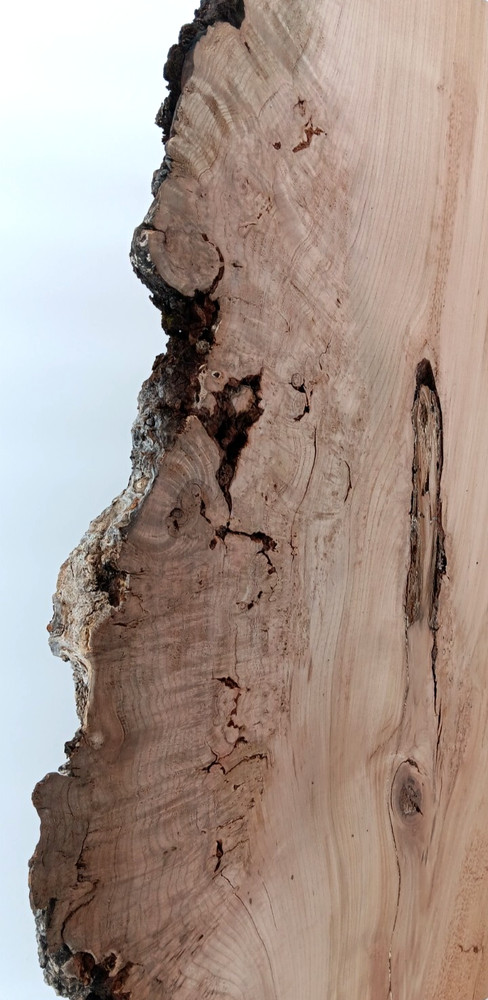 Cherry Burl Slab