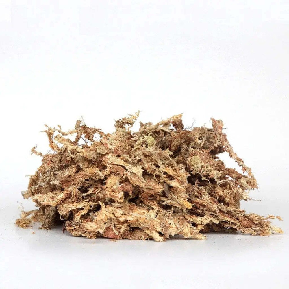 Orchid Nerd Compressed Sphagnum Moss 150 Grams