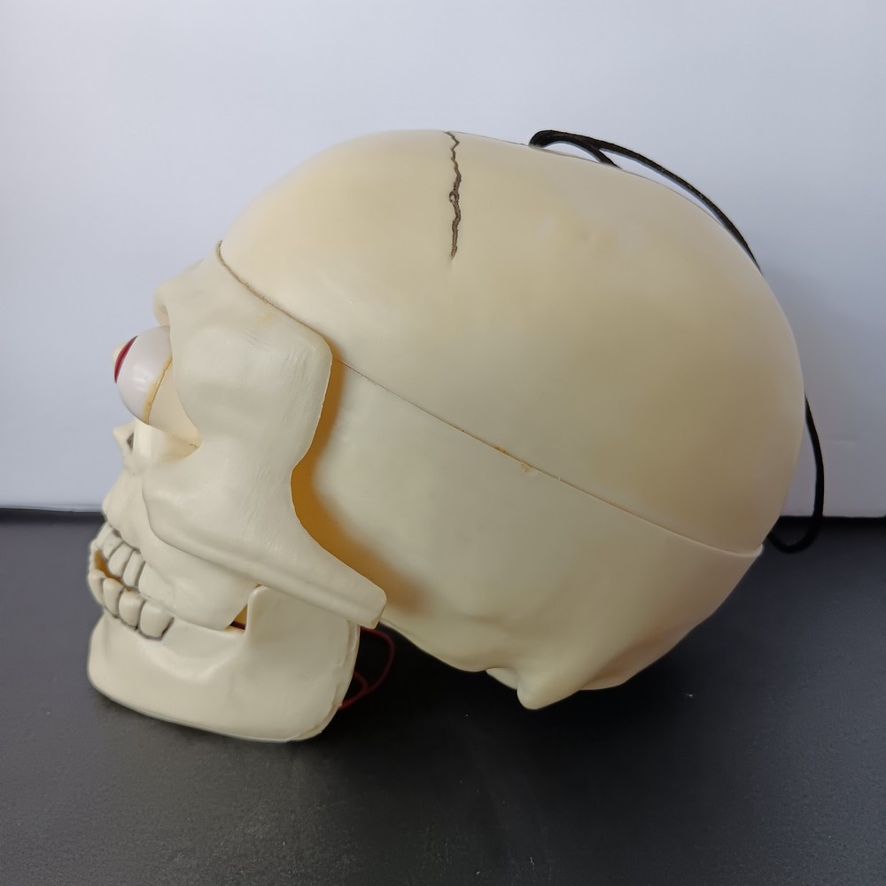 Lighted-Talking Plastic Skull