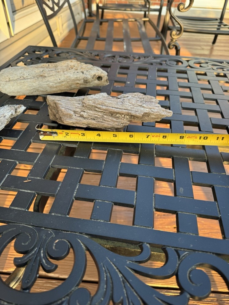 Driftwood