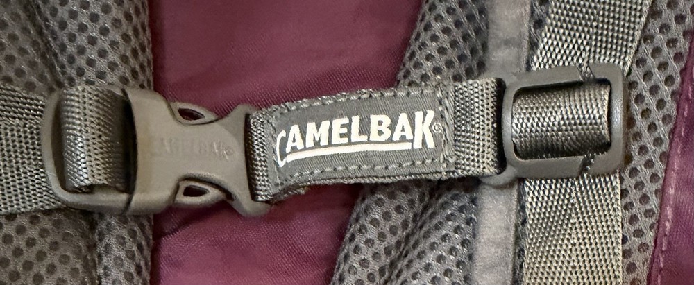 Camelbak Aurora Eggplant Purple Hydration Day Pack with 2L Bladder