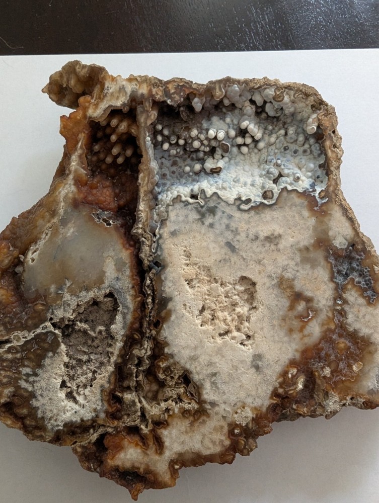 coral slab brown white multi-textured natural