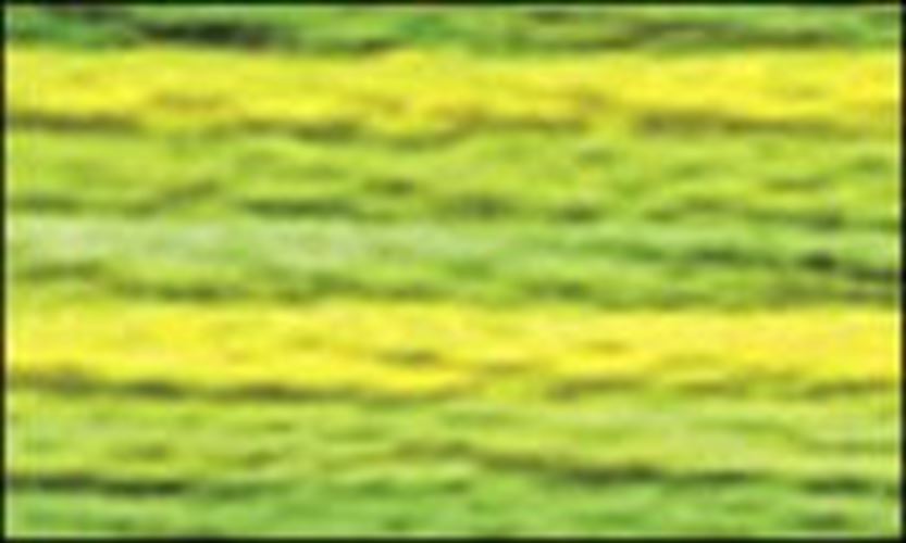 DMC Color variations Floss