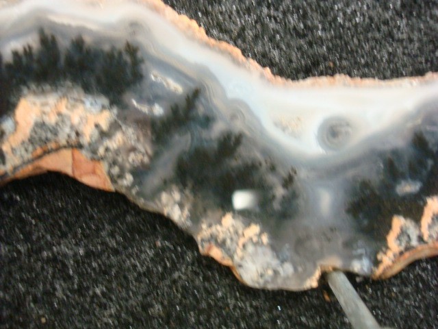 plume agate slab wyoming