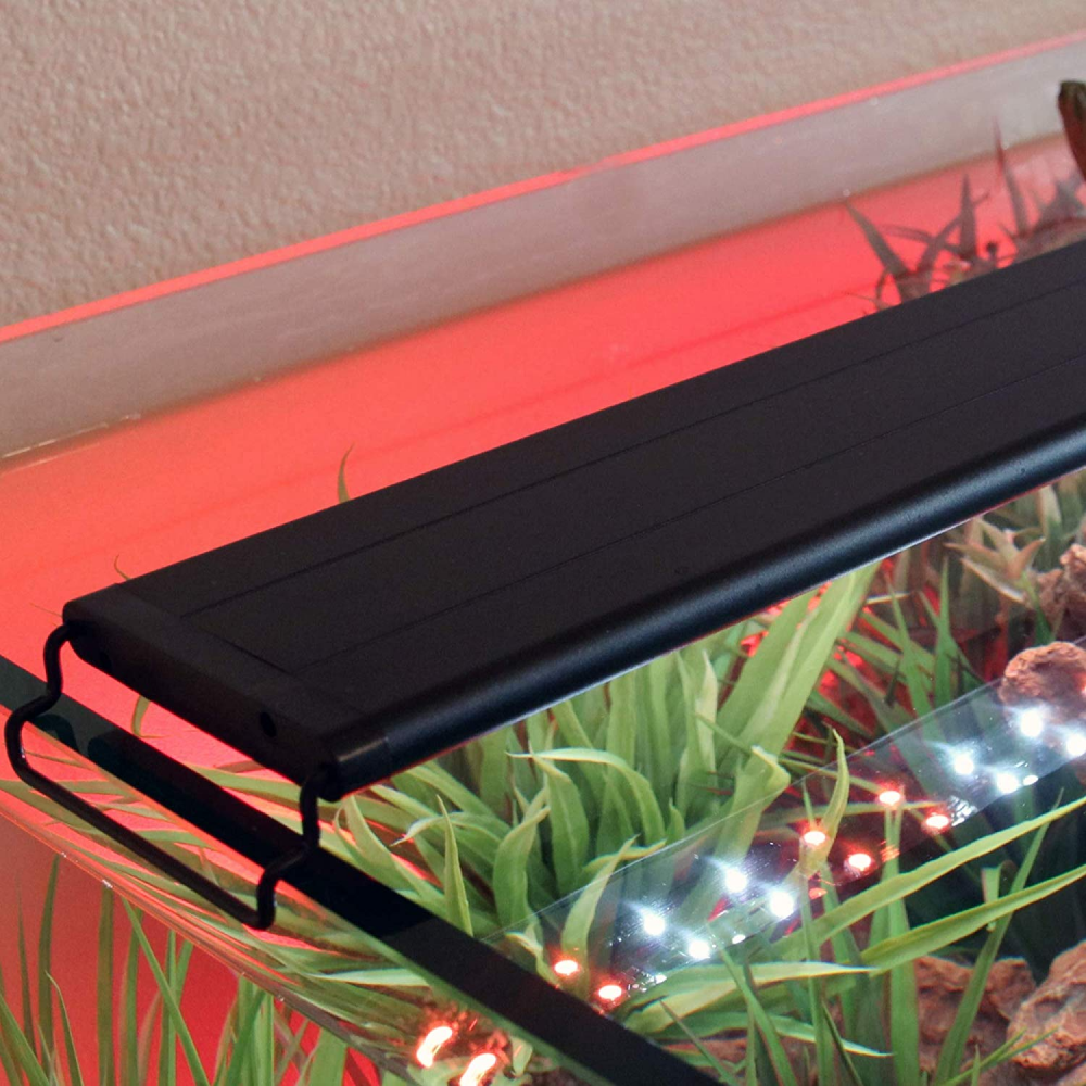 Current USA Serene Aquarium Visual and Audio Aquatic Experience Kit