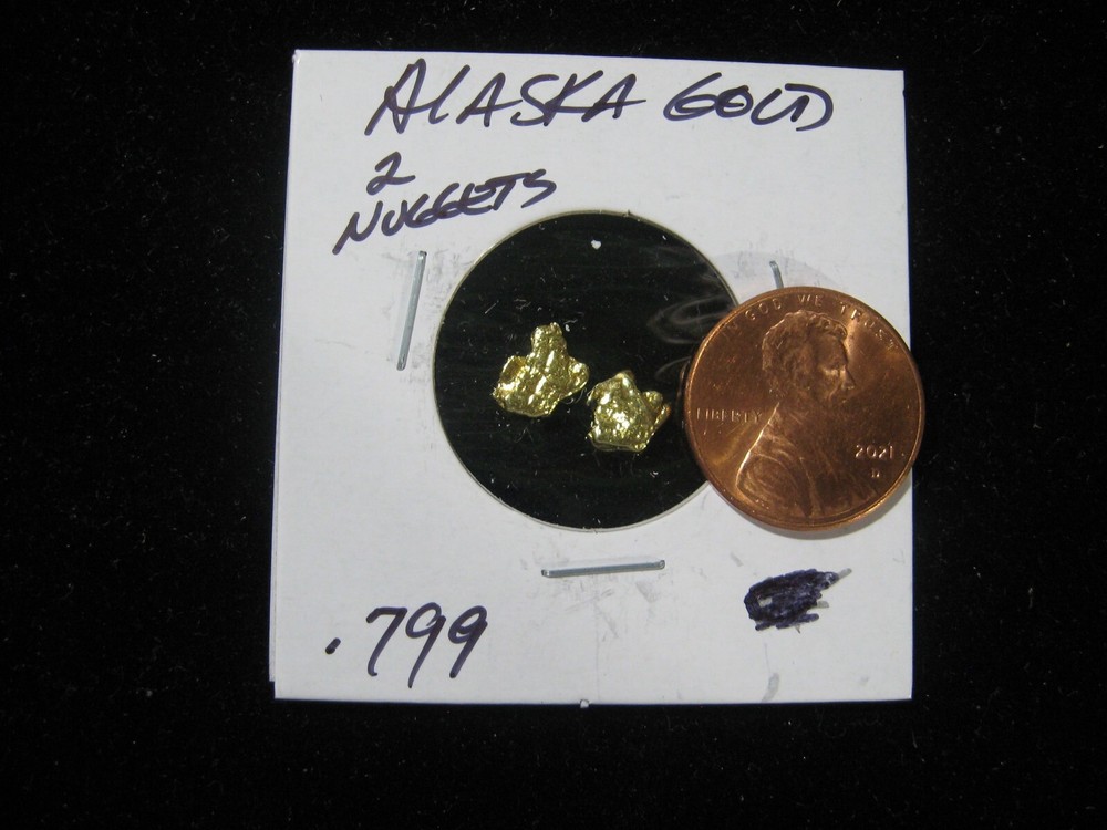 ALASKA GOLD 2 NUGGETS  .799 GRAM