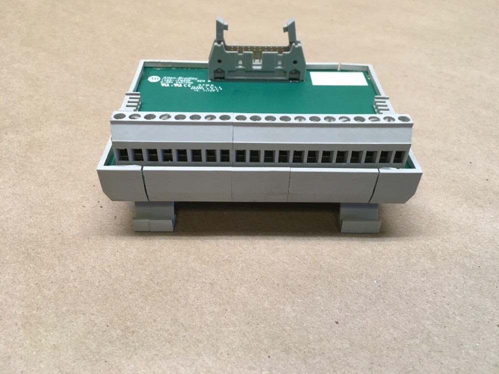 Allen-Bradley 1492-IFM2OF Ser B Interface Module (KB)