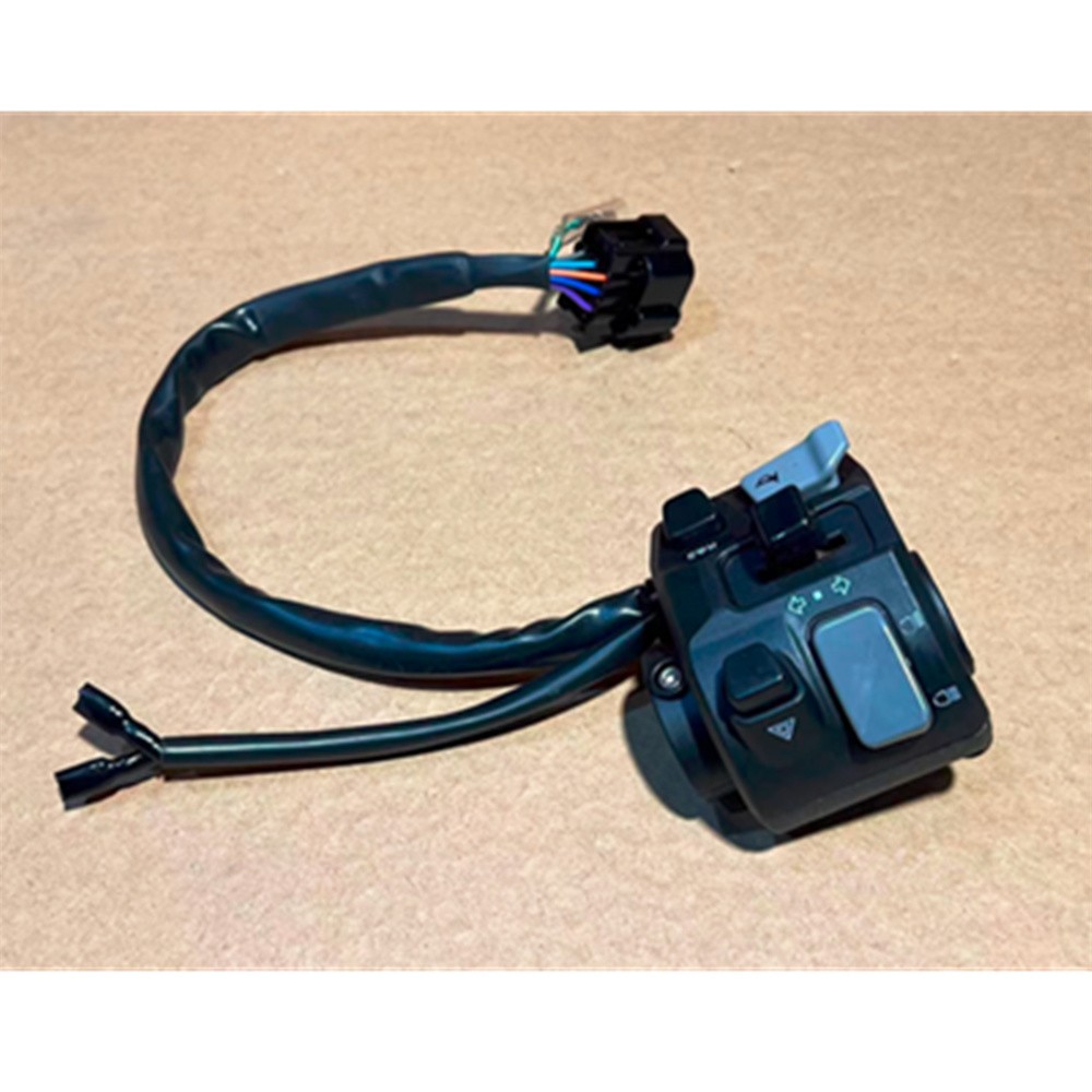 ABS Left Handlebar Controller Switch Assembly Replace For SUR-Ron UltraBee USA