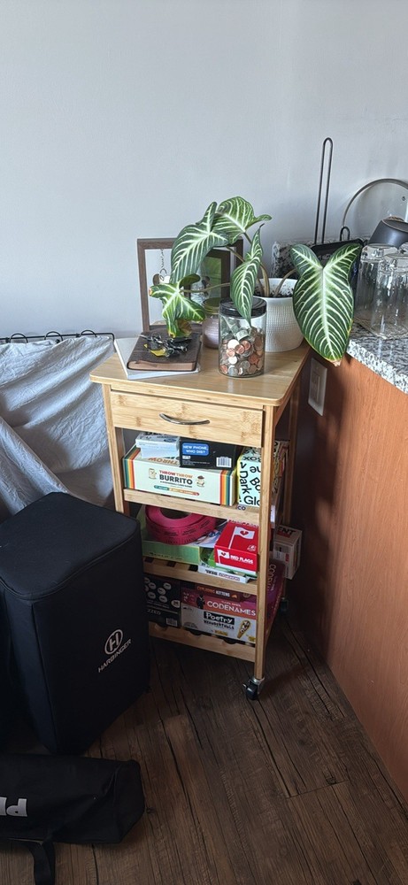 Bamboo Trolly
