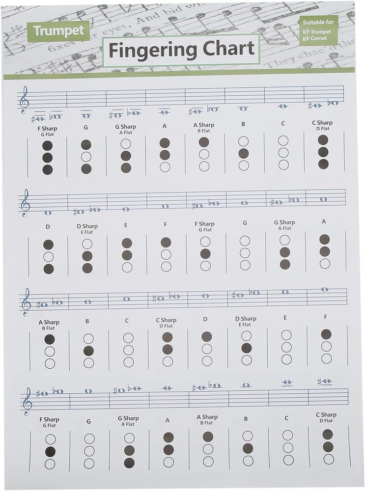 Trumpet Chord Chart Chords Reference Poster (Large Size)