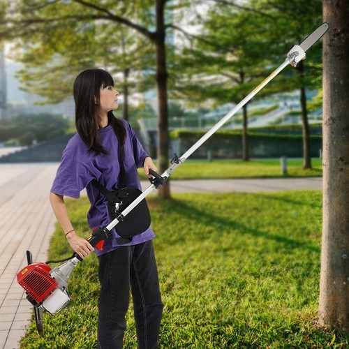 2 Stroke 43cc 12'' Tree Branch Pruner Long Pruning Chain Saw Trimmer