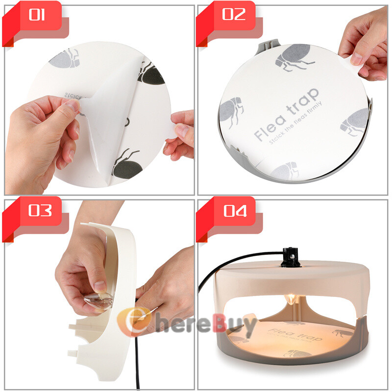 5Pcs Disposable Flea Trap Sticker Bug Dome Flea Trap Refill Flea Glue Discs Safe