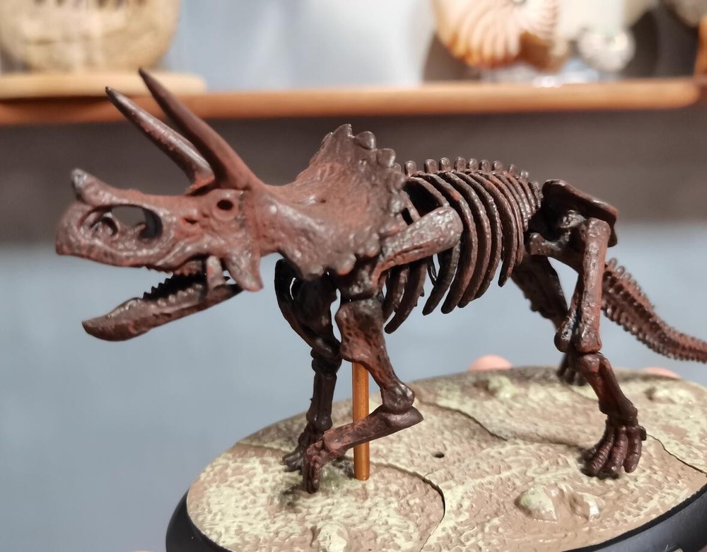 Triceratops Skeleton Model Dinosaur Model Statue Display Animal Model