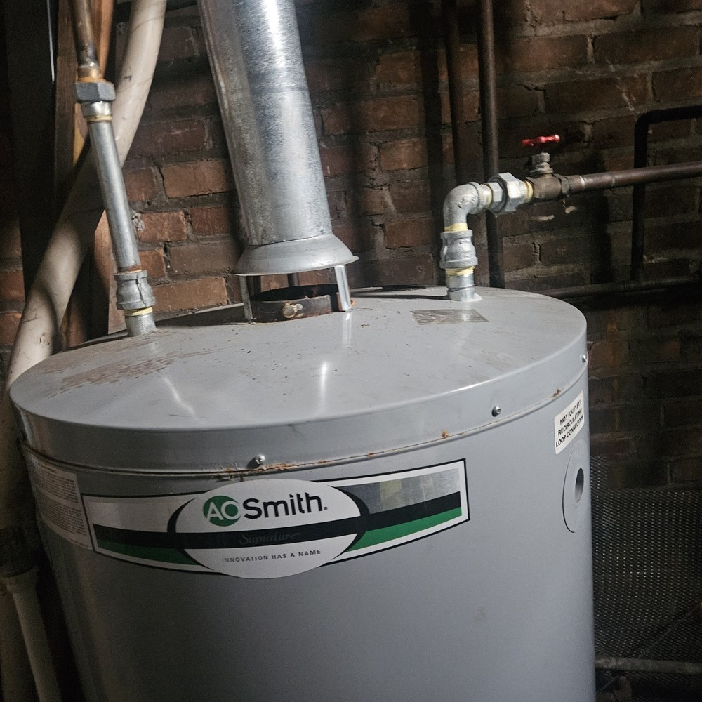 A. O. Smith Signature Home Standard Gray Water Heater