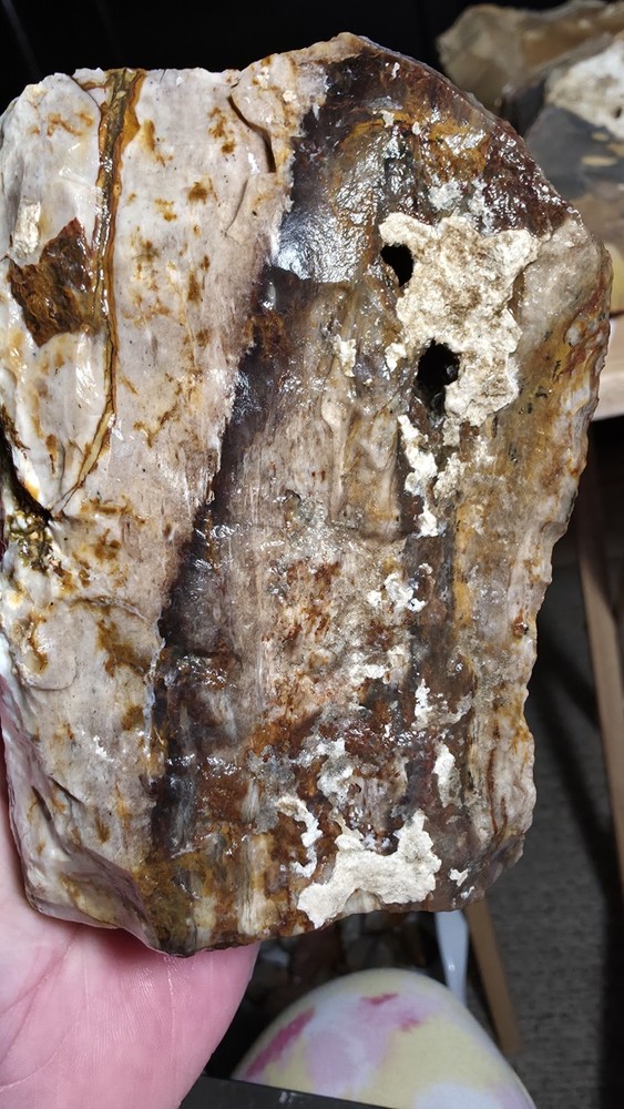 agatized petrified wood 3pc. Lot