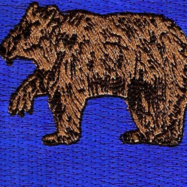 62nd Infantry Regiment Patch