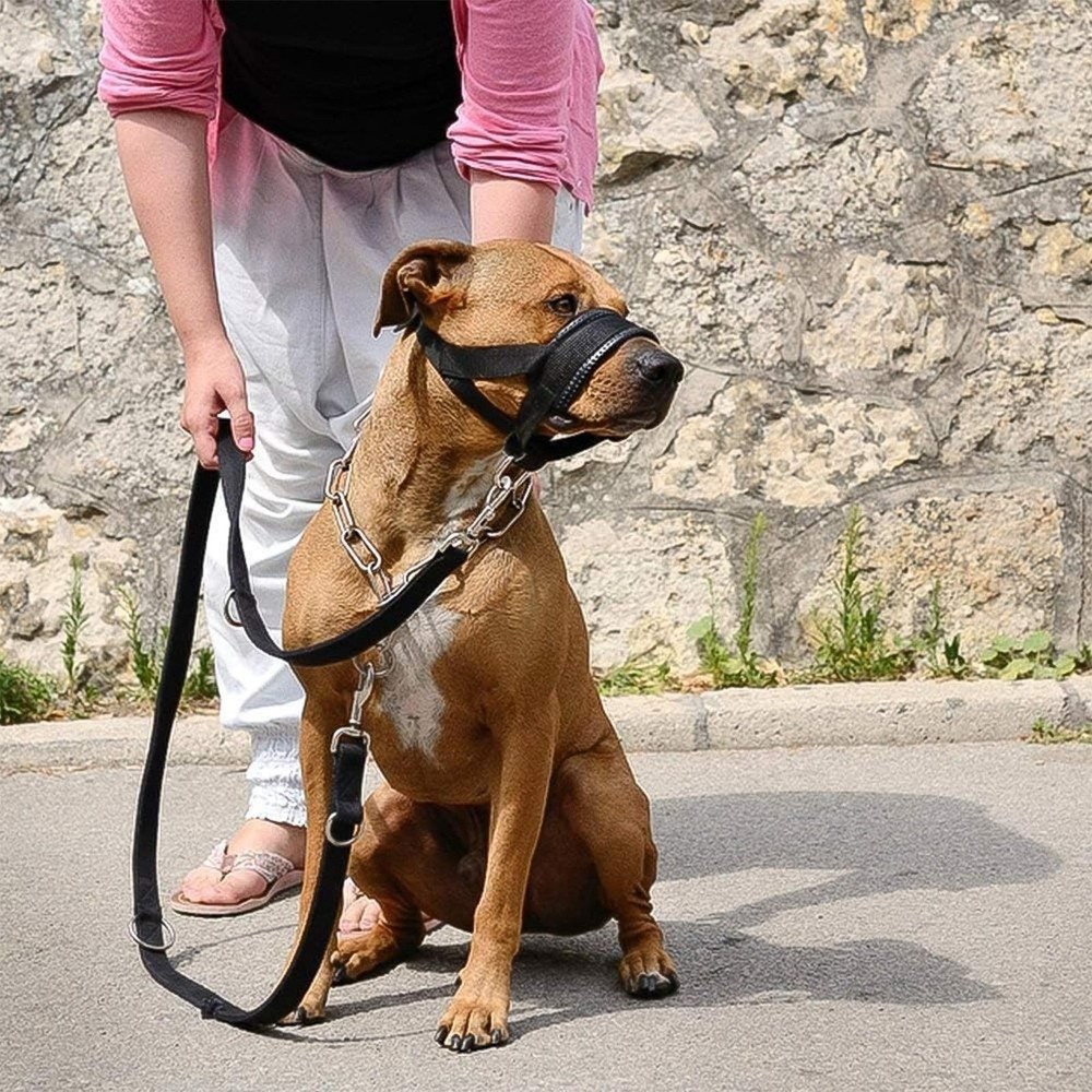 Dog Muzzle for Small, Medium, Large Dogs Prevent from Biting, Barking and Che...