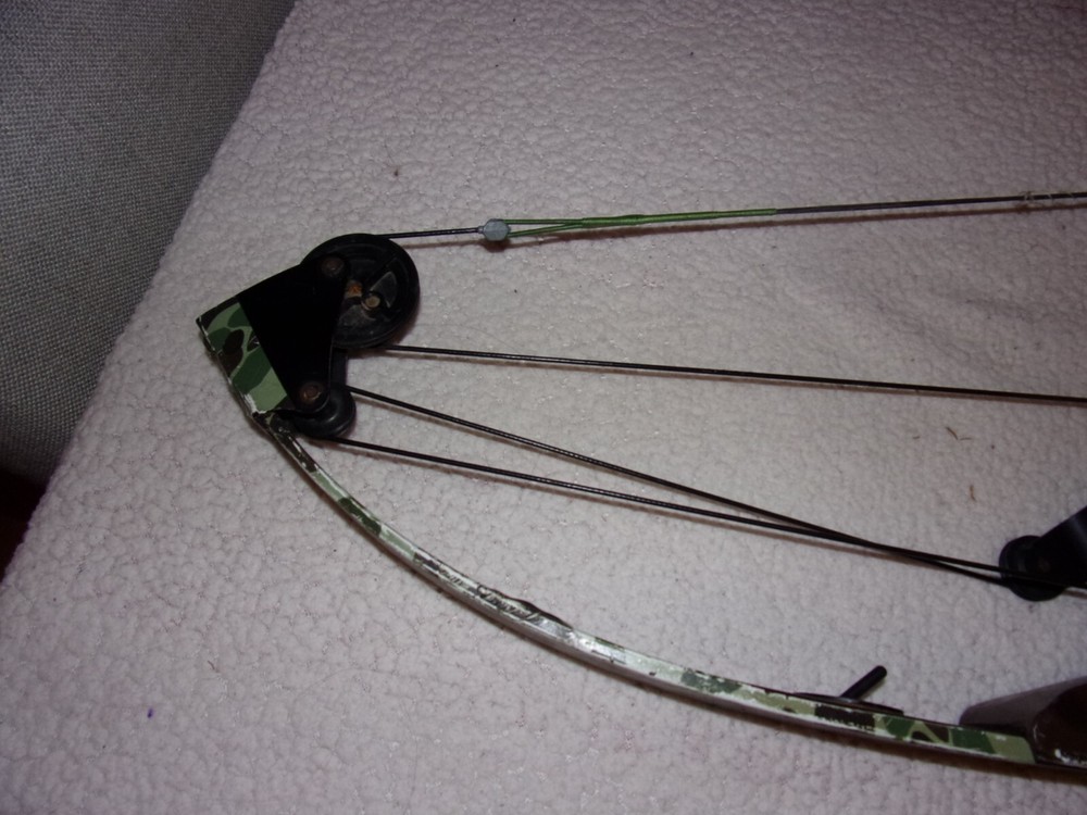 Bear Whitetail Hunter Compound Bow