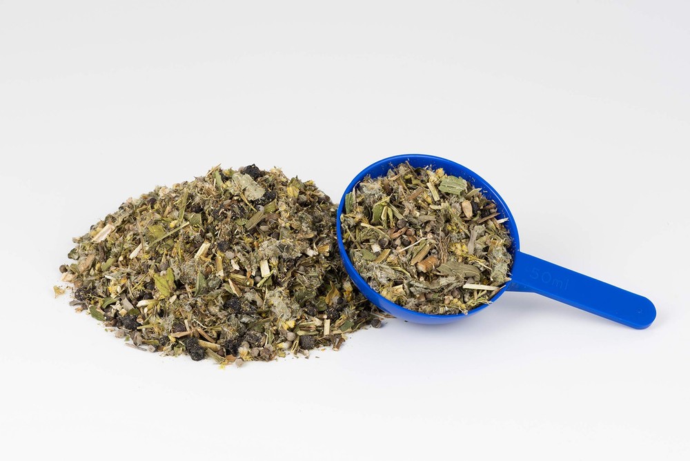 Vitex Plus: Supports A Healthy Balanced Endocrine System