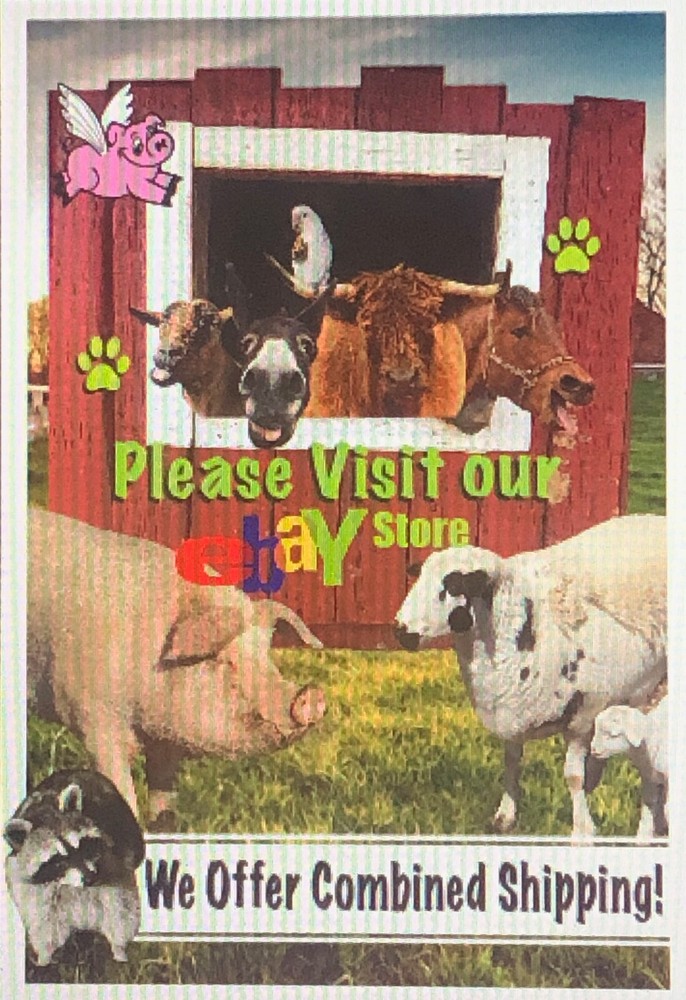 VG Scrap Tutor Volume One - Techniques PC Scrapbook Lessons CD ROM/160b