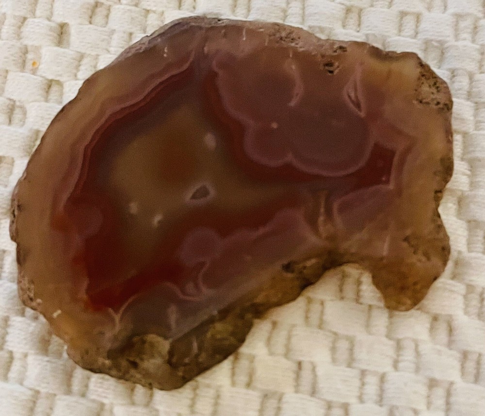 Agate Slice Natural Brown 14g
