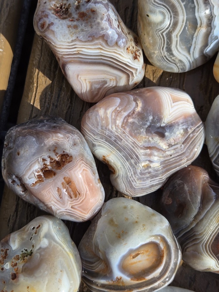 Botswana Agate Selects - WILD ONES - Rough, Natural, Not Polished A+ Grade