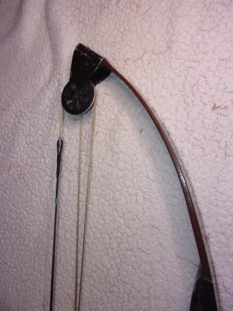 Bear Blacktail Hunter Compound