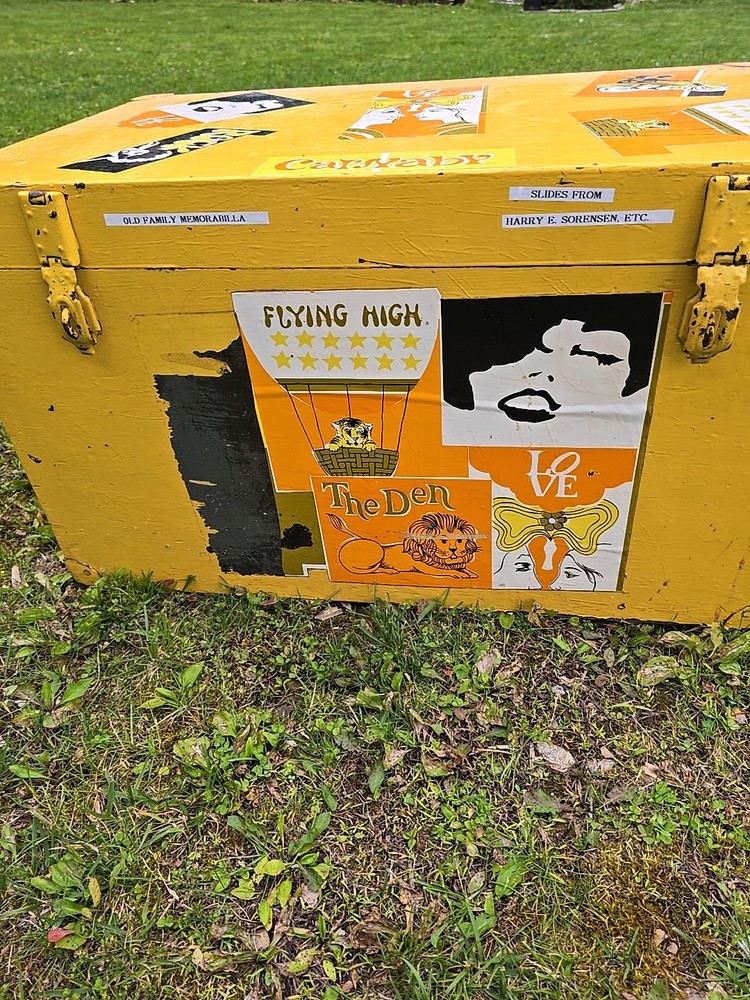 Retro Vintage 60's Trunk