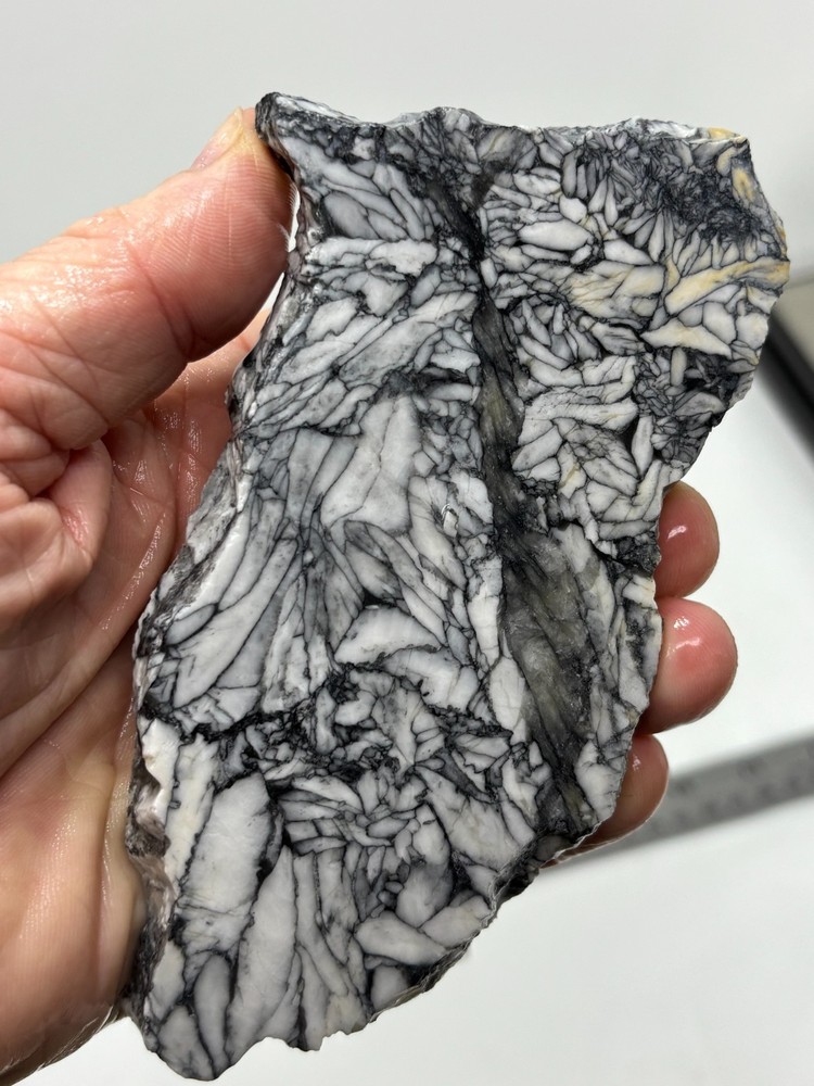 Rare Pinolith Slab Austria Cabbing Lapidary Combo Ship Avail