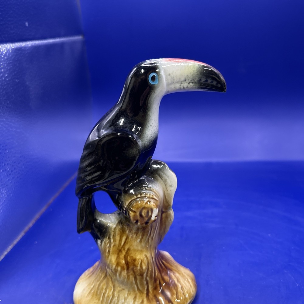 Vintage Toucan Parrot