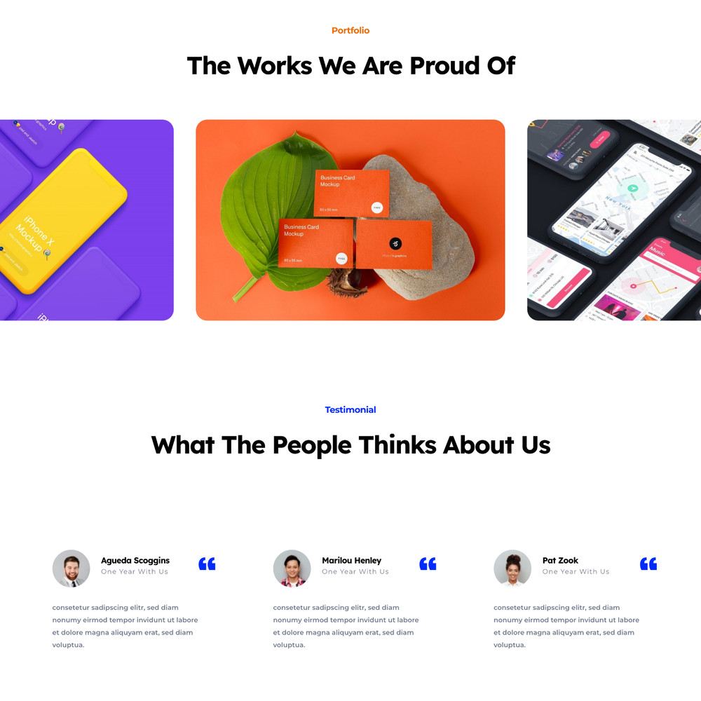 Web Design Business Website Design with Free VPS Web Hosting & Installation