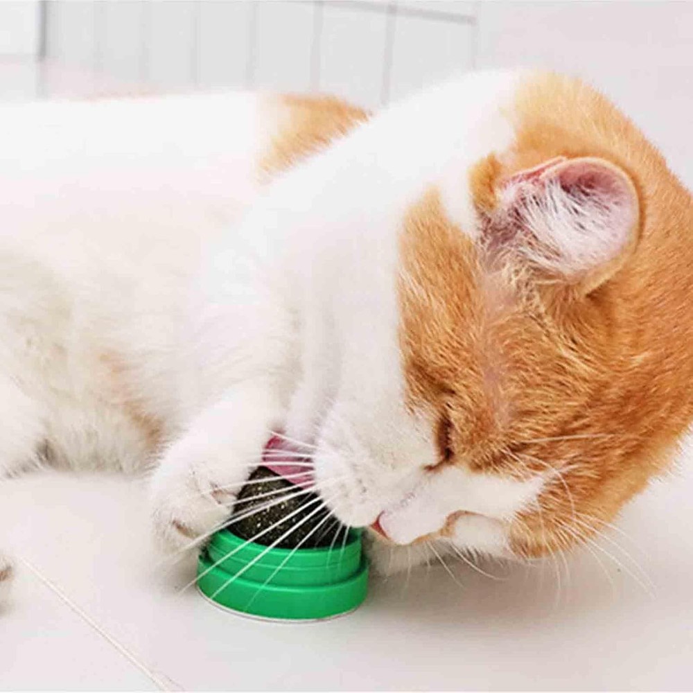 6 PCS Catnip Balls - Roller That Stick On Wall Green