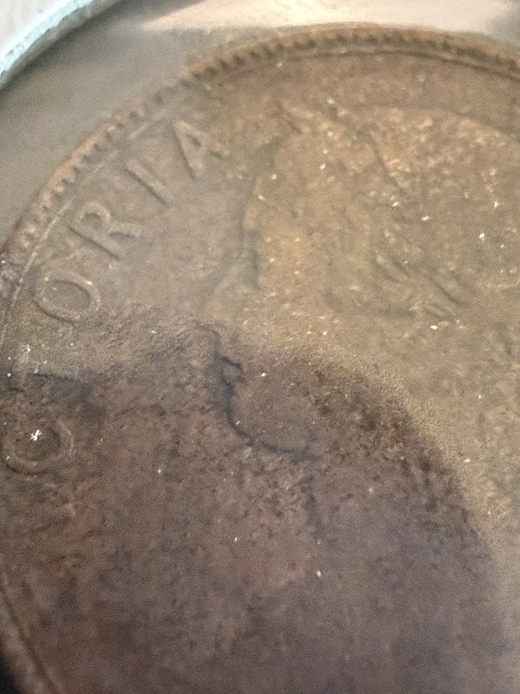 1890 Newfoundland One Cent