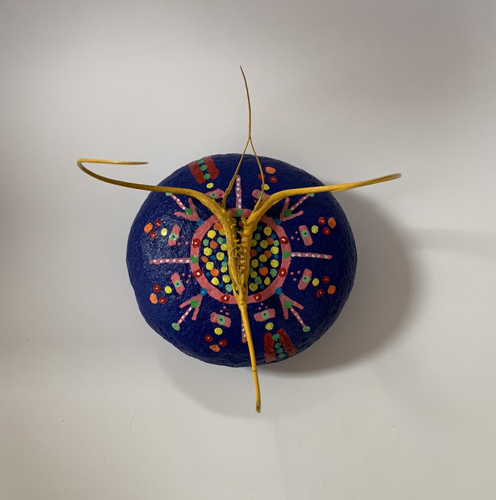 Proboscidea Devil's Claw FOLK ART SCULPTURE Painted Rock DEVIL'S Paperweight