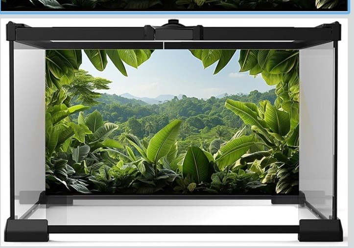 aquarium background