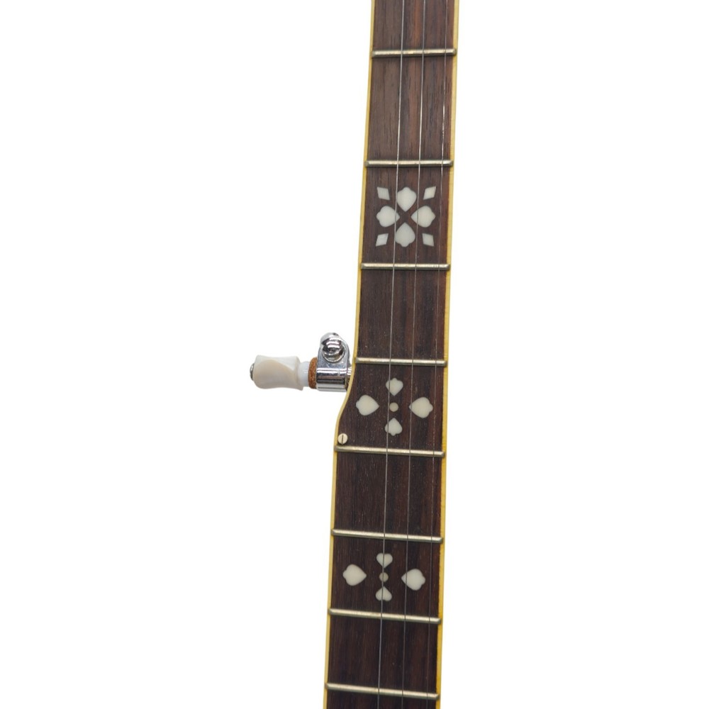 Fender 5-String Resonator Banjo Sunburst Finish Geared Tuners Player Ready