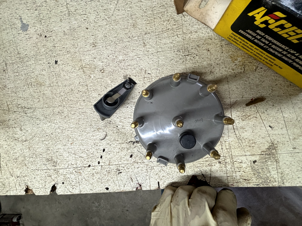 accel 8234 cap and rotor