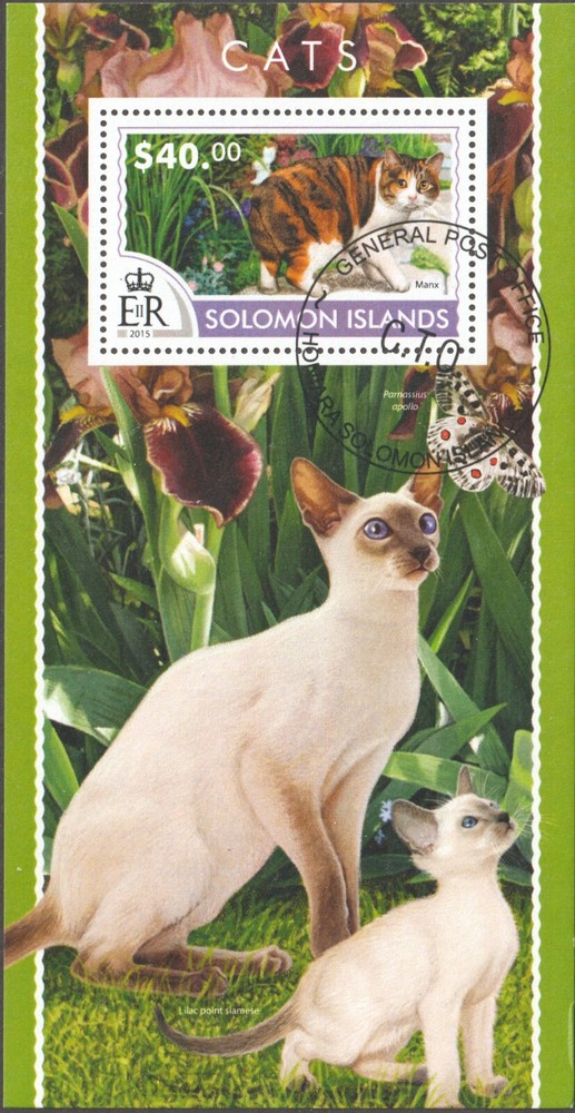 SOLOMON ISLANDS 2015 CATS - SOUVENIR SHEETS