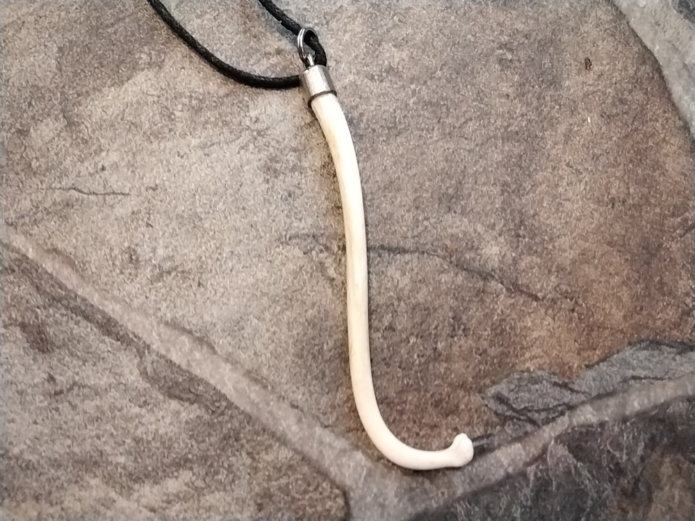 Coon Dick Necklace Fancy Capped Long Raccoon Baculum Handmade in USA