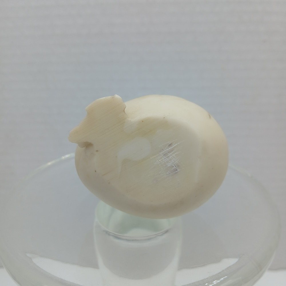 Vintage T-Rex Hatching Stone Resin Egg 2.5" Tall