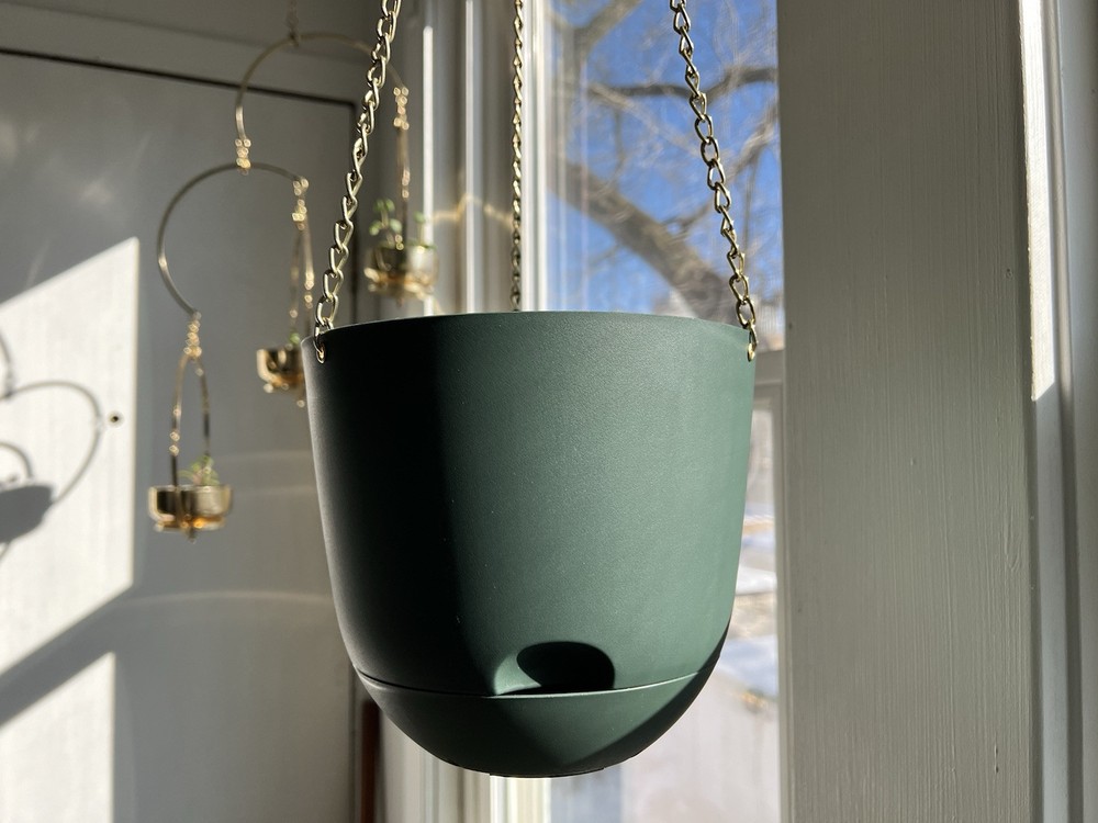 Dark Green Hanging Planter With Brass Chain