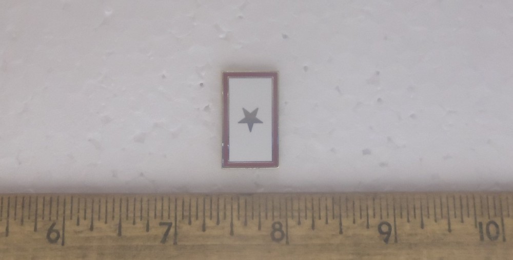Gold Star Pin