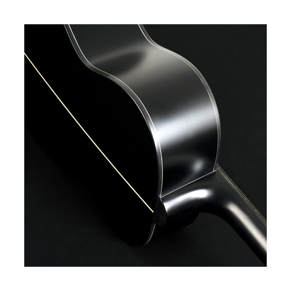 Washburn 6 String Acoustic Guitar, Right (DFEFE)