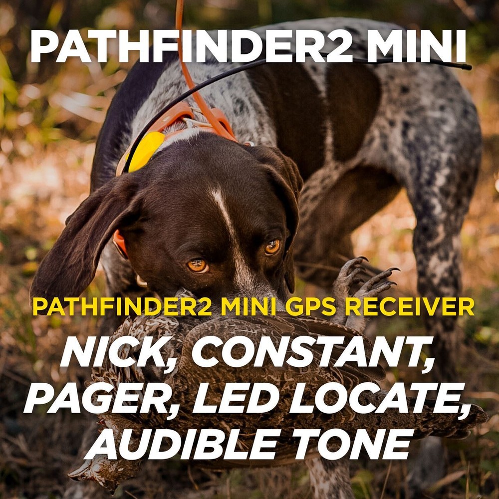 Dogtra PATHFINDER2 MINI GPS 2 Dog Tracking, Training, E-Fence, E-Collar Remote