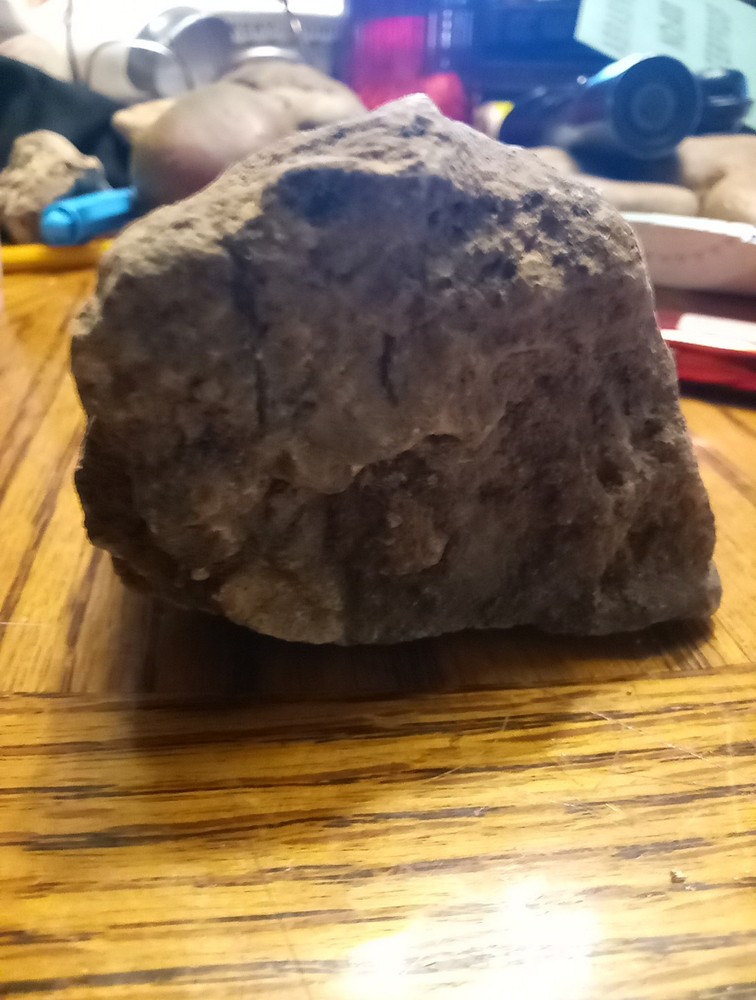 Fossils