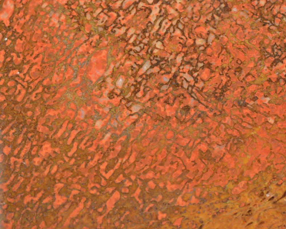 Orange Agatized Dinosaur Bone, New Mexico, 225 grams