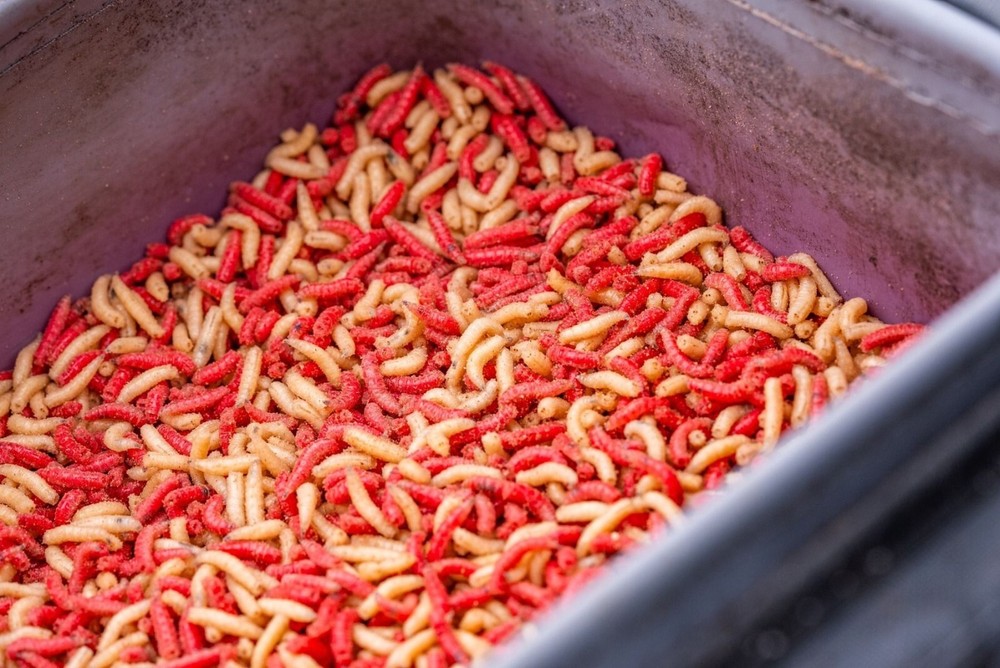 Guru Fusion Ventilator 200 - PAY ONE POST